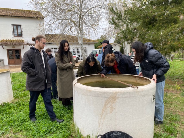 QTOX Valencia Mesocosm